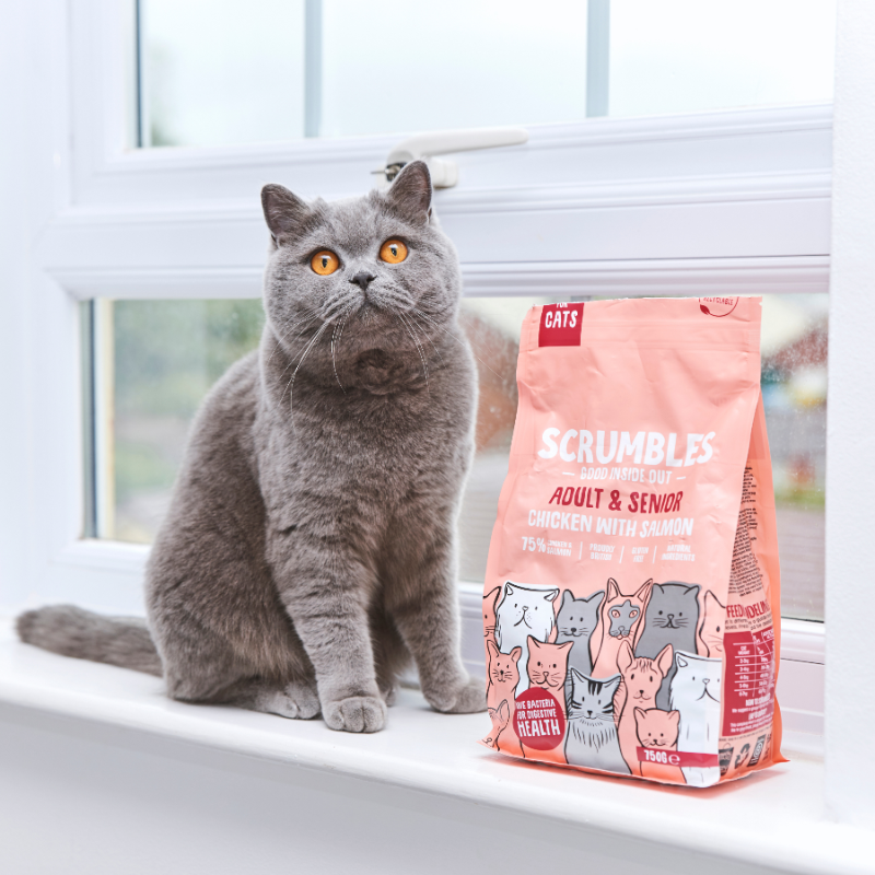 salmon-and-chicken-dry-cat-food-scrumbles-dry-cat-food-adult-cat-food-black-friday-cat-food-dry-cat-food-gluten-free-cat-food-high-protein-cat-food-hypoallergenic-cat-food-kitten-food-natural-cat-food-senior-cat-food-sensitive-stomach-cat-food-1