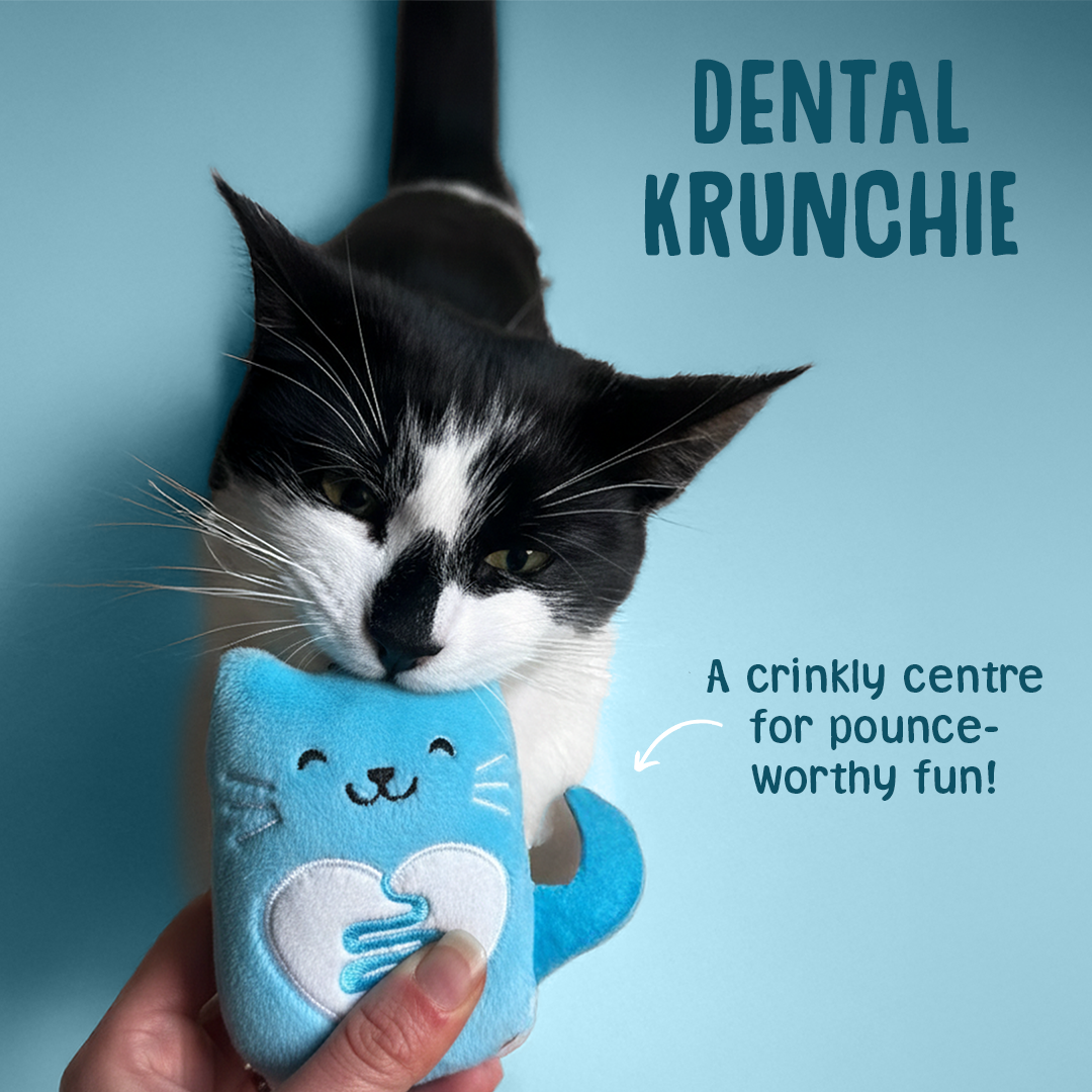 scrumbles dental cat toy