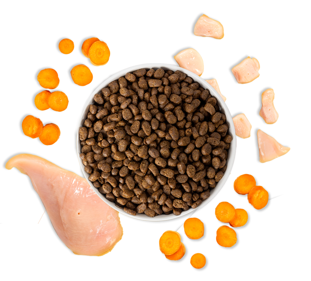 chicken kitten dry food