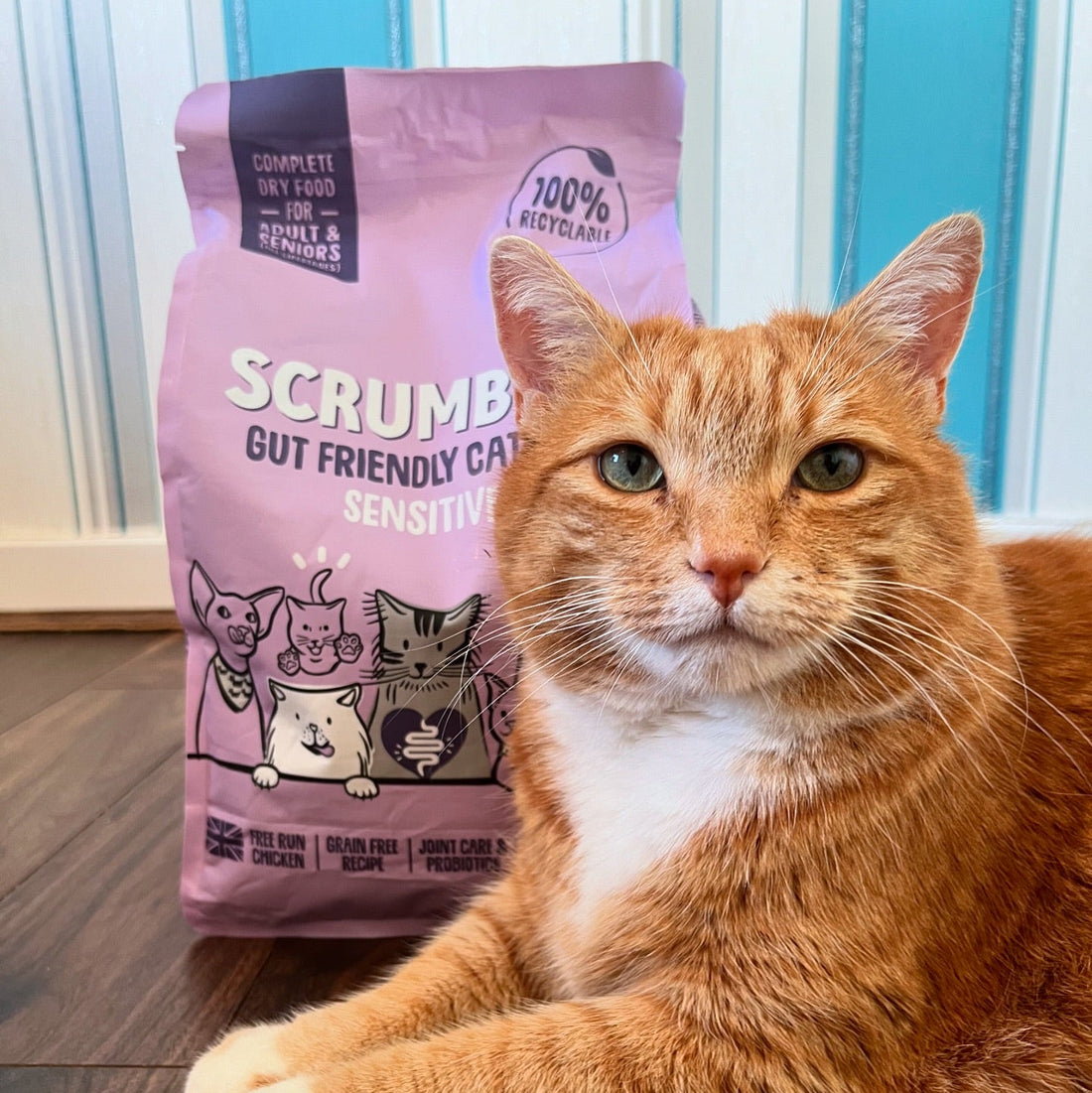 Voeding voor gevoelige en droge huid bij katten