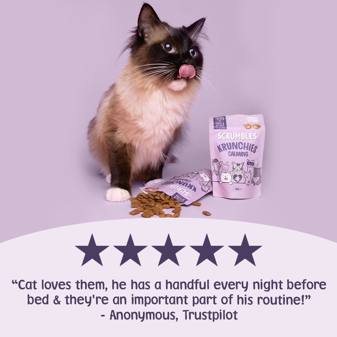 Cat with Scrumbles Crunchies Calming treats on a purple background