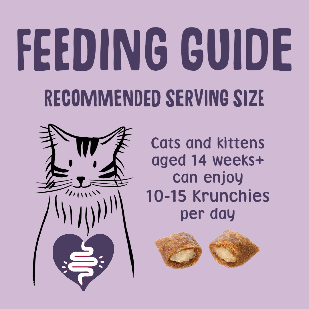 Feeding guide for cats and kittens on a purple background with illustrations of a cat and Krunchies.