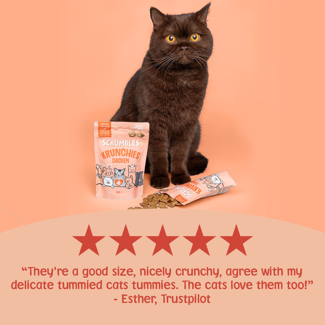 Cat sitting next to Scrumble Crunchies cat food packaging on a peach background