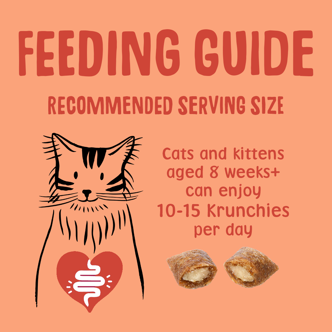 Feeding guide for cats and kittens with recommended serving size on a peach background