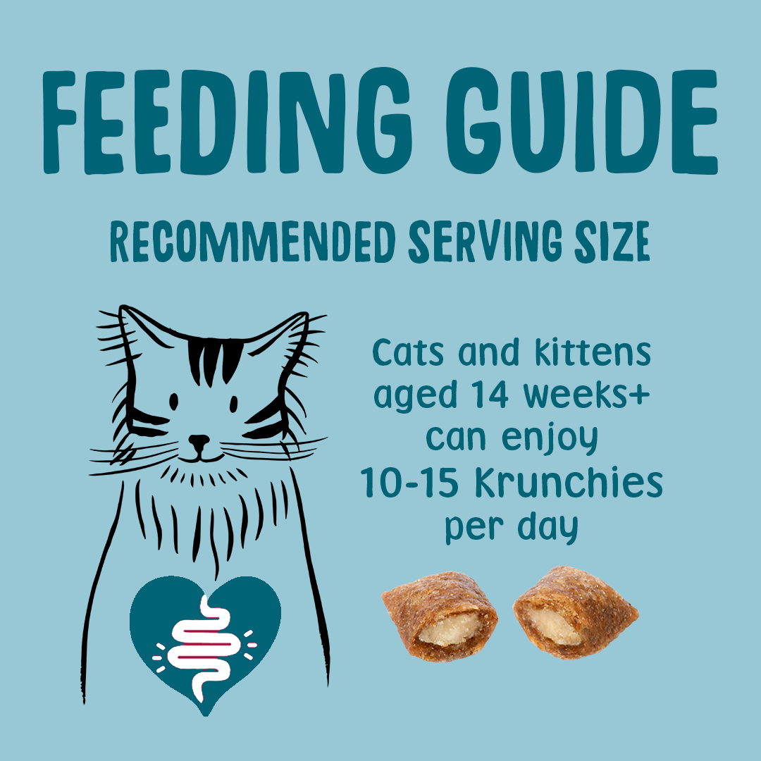 Feeding guide for cats and kittens on a blue background with text and illustrations.