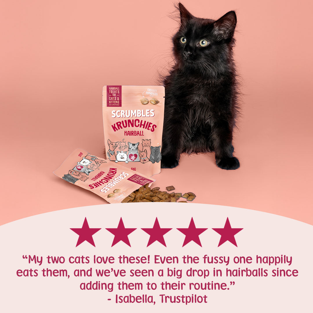 Black kitten with Scrumbles Crunchies cat treats on a pink background