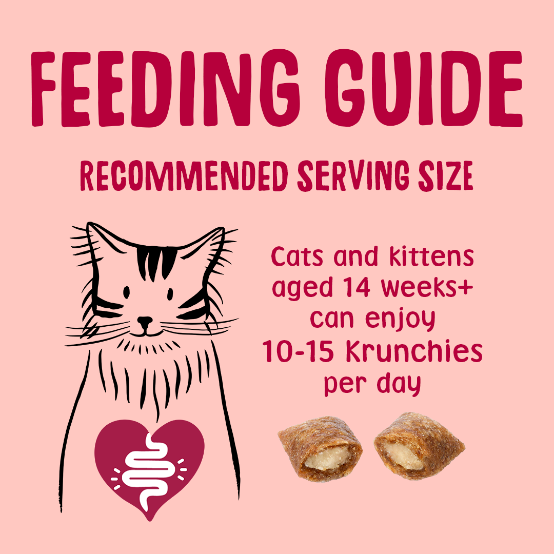 Feeding guide for cats and kittens on a pink background with text and illustrations.