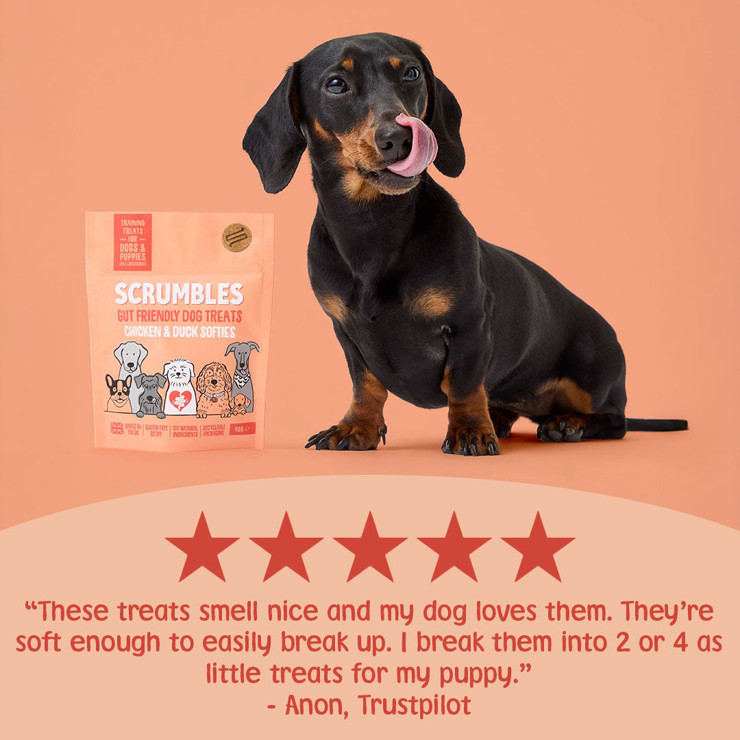 Dog sitting next to a Scrumbles dog treats package on a peach background