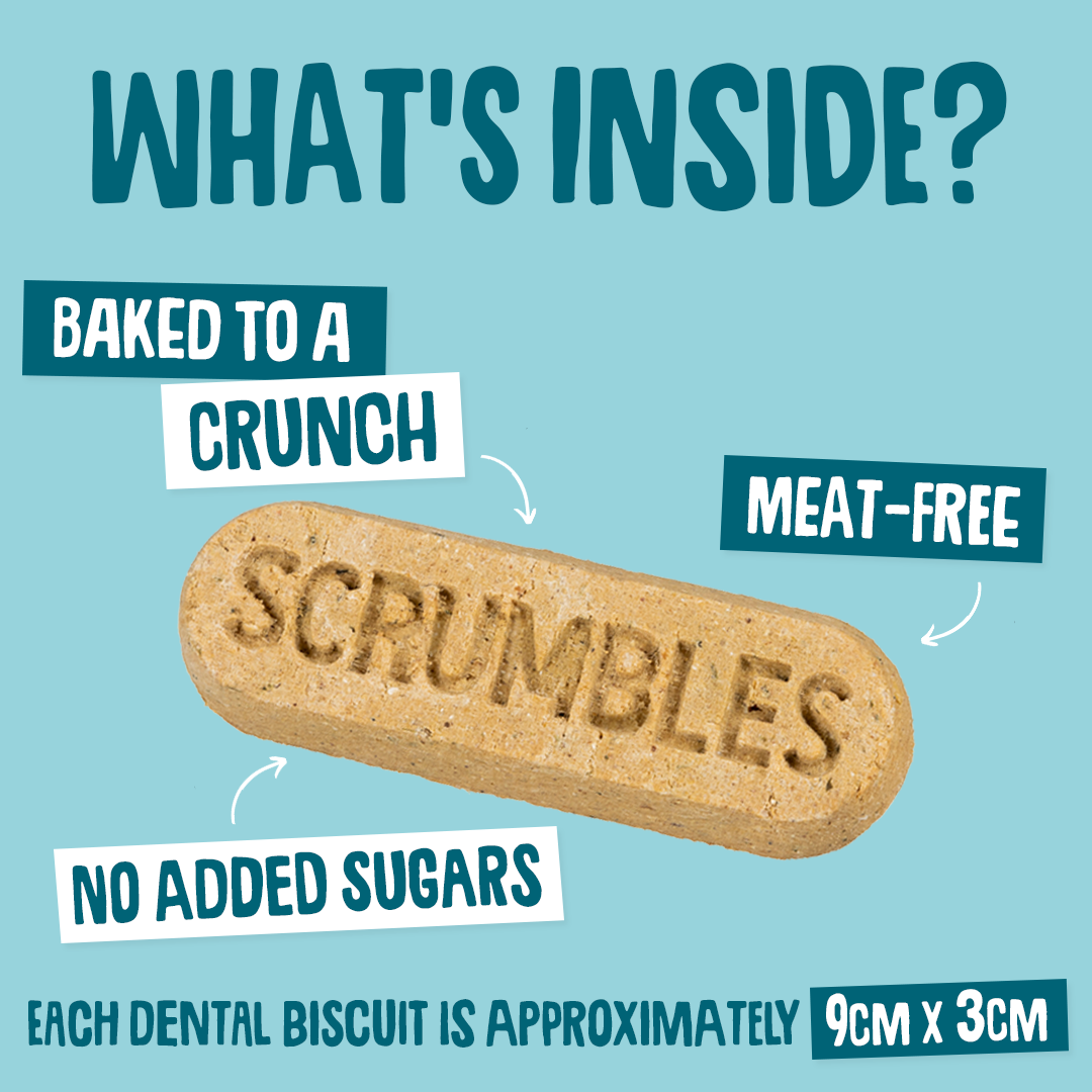 Dog biscuit with text highlighting features on a blue background