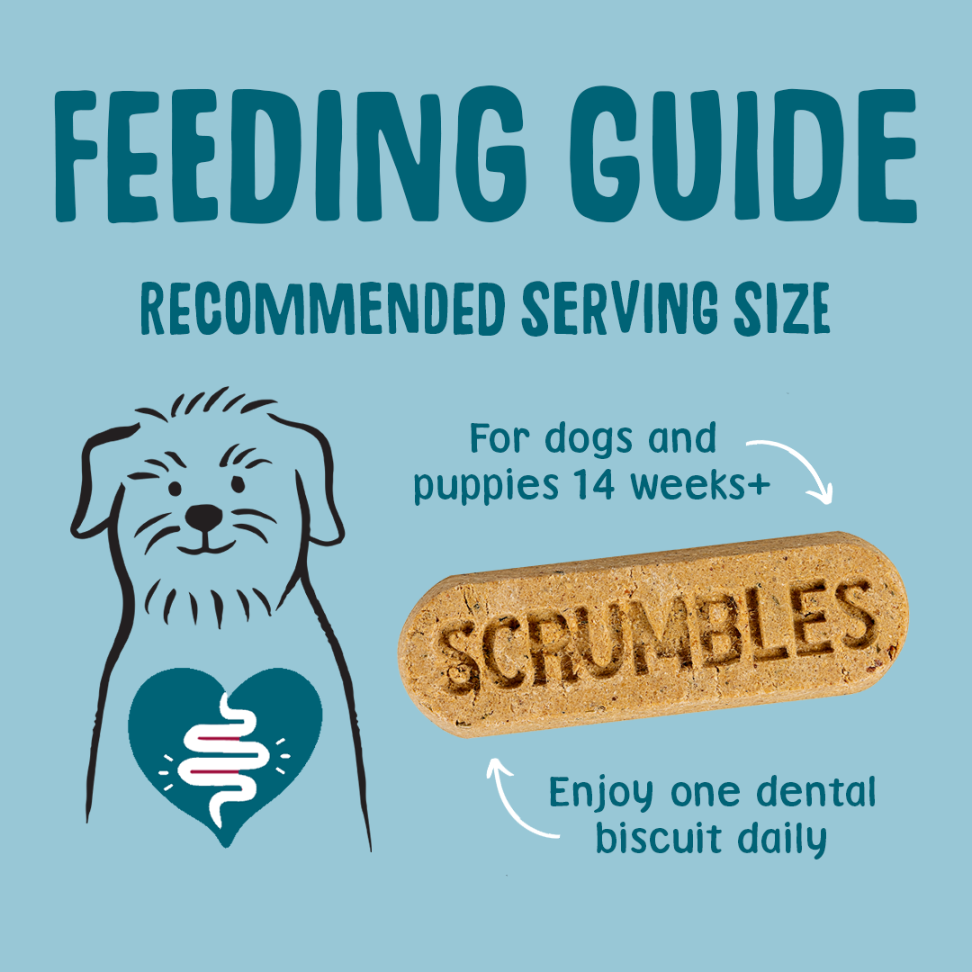 Feeding guide for dogs and puppies with a Scrumbles dental biscuit illustration on a blue background.