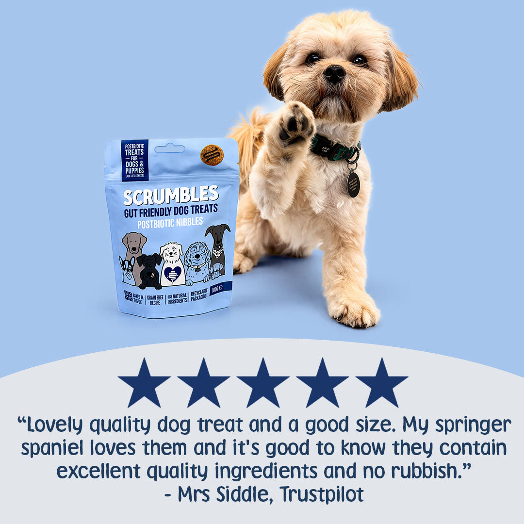 Dog with a Scrumbles treat bag on a blue background, featuring a Trustpilot review.