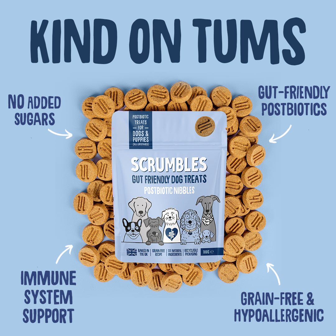 Scrumbles gut-friendly dog treats with packaging on a blue background