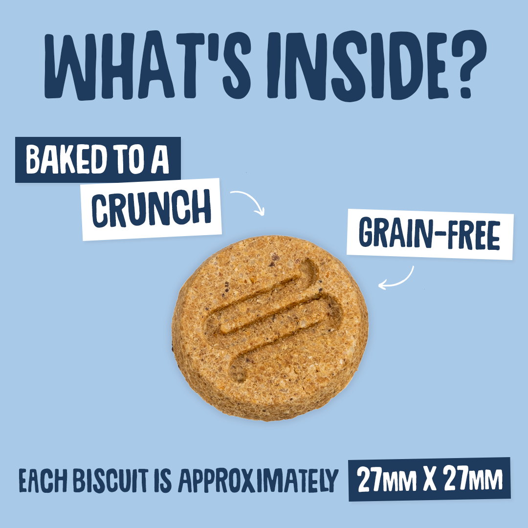 Dog biscuit with text on a blue background about its qualities
