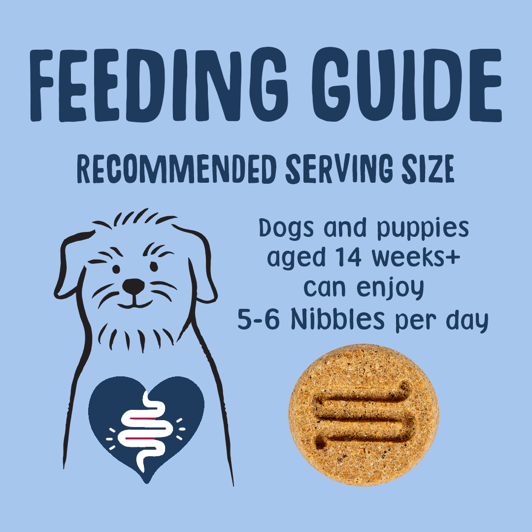 Feeding guide for dogs and puppies with a blue background, dog illustration, and cookie icon.