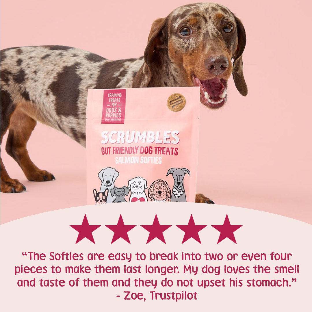 Dog with Scrumbles dog treats packaging on a pink background