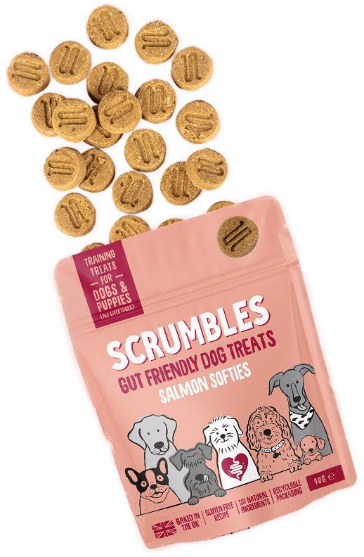 salmon softies