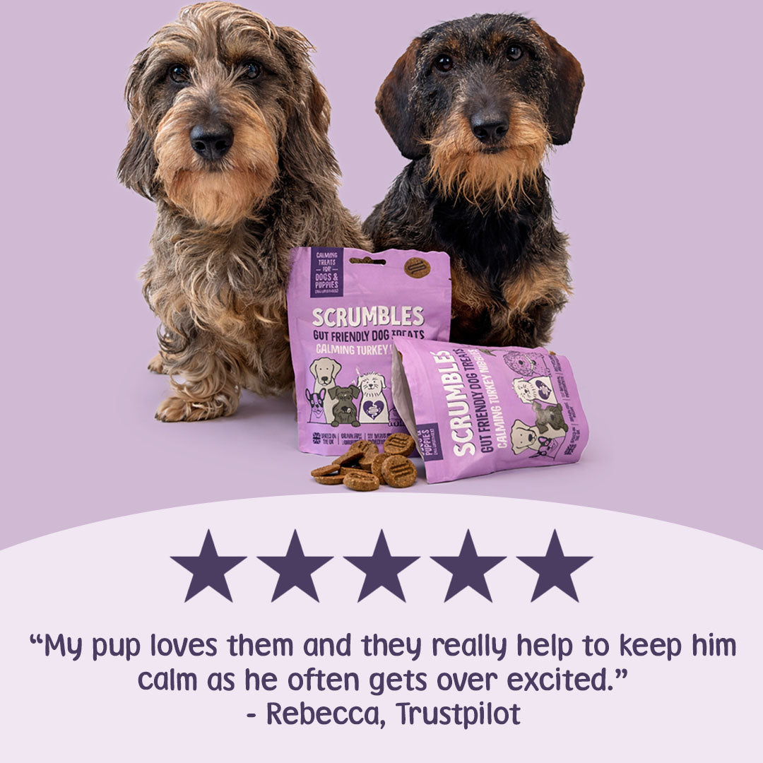 Two dogs with Scrumbles dog treats on a purple background