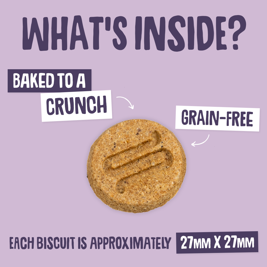 Dog biscuit with text on a purple background