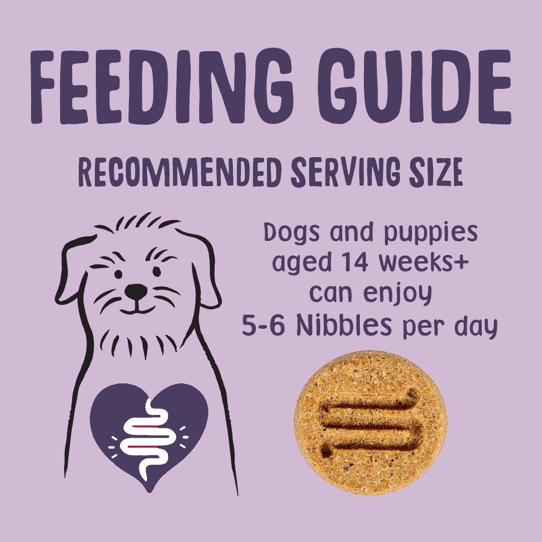 Feeding guide for dogs and puppies on a purple background with a dog illustration and a treat.