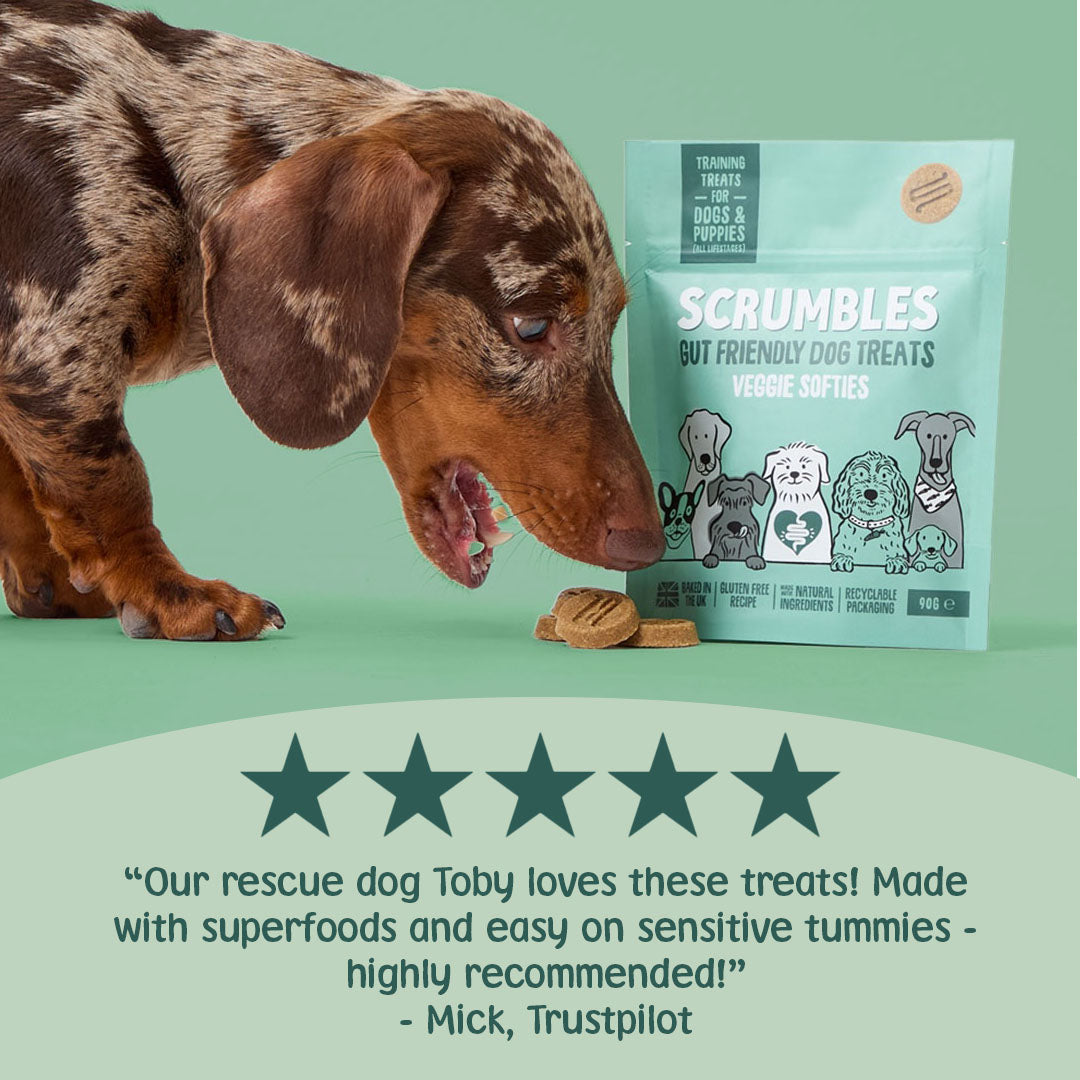 Dog sniffing a package of Scrumbles dog treats with a five-star rating and Trustpilot review on a green background.
