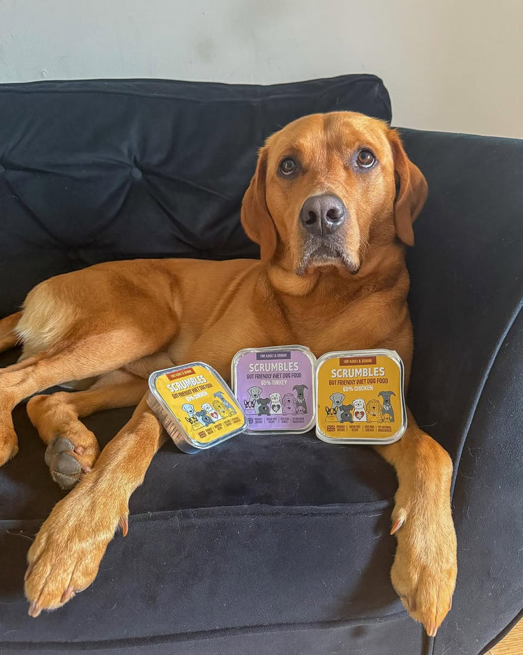 Scrumbles: Natural Pet Food