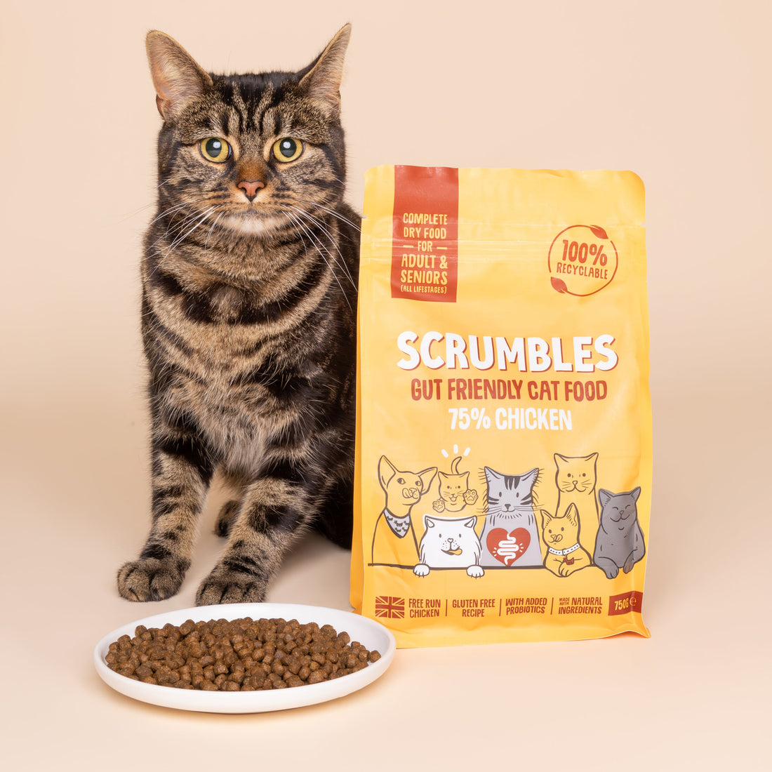 chicken dry cat food