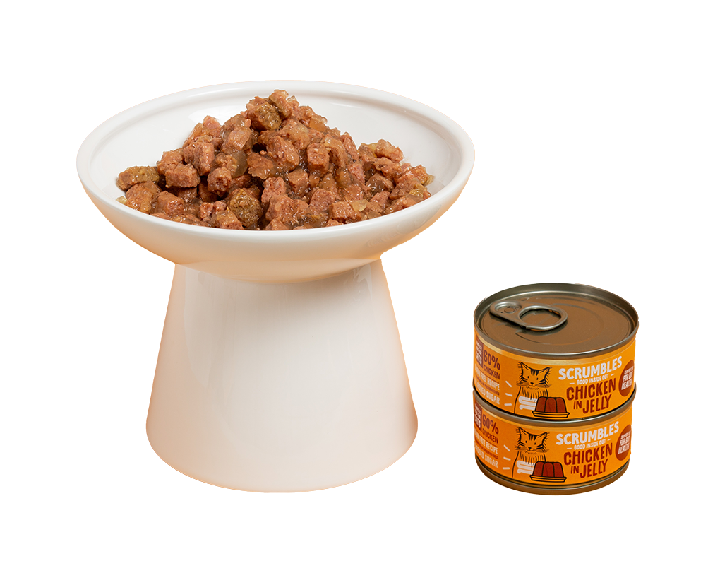 jelly cat food in tins