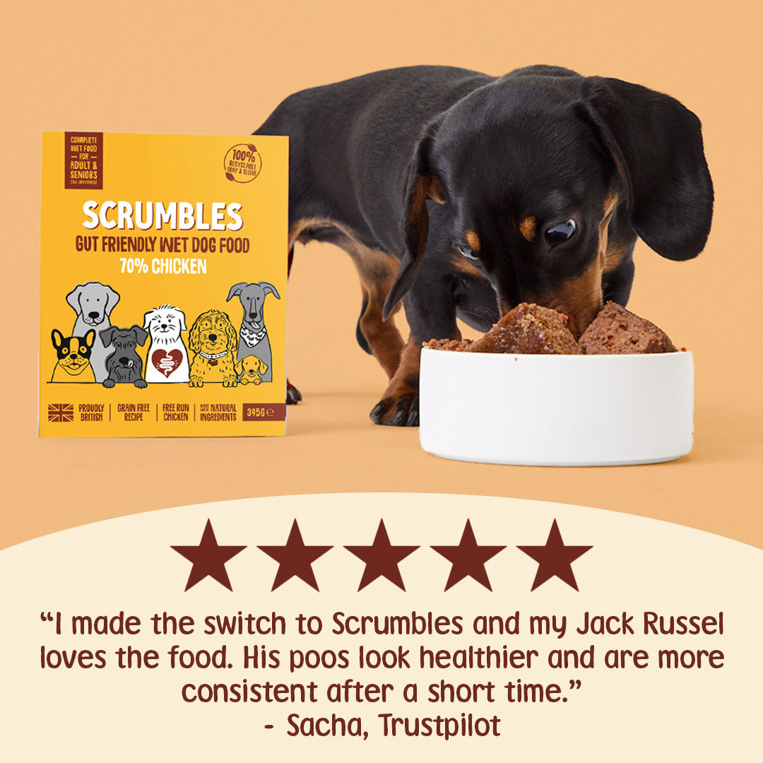Dog eating from a bowl with Scrumbles dog food packaging and a five-star rating on an orange background.