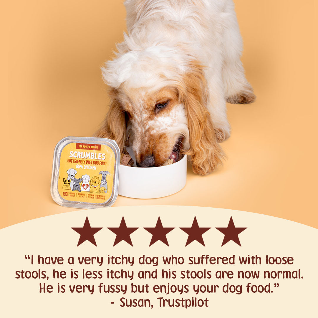 Dog eating from a bowl with Scrumble's dog food packaging, and a five-star review from Susan on a beige background.