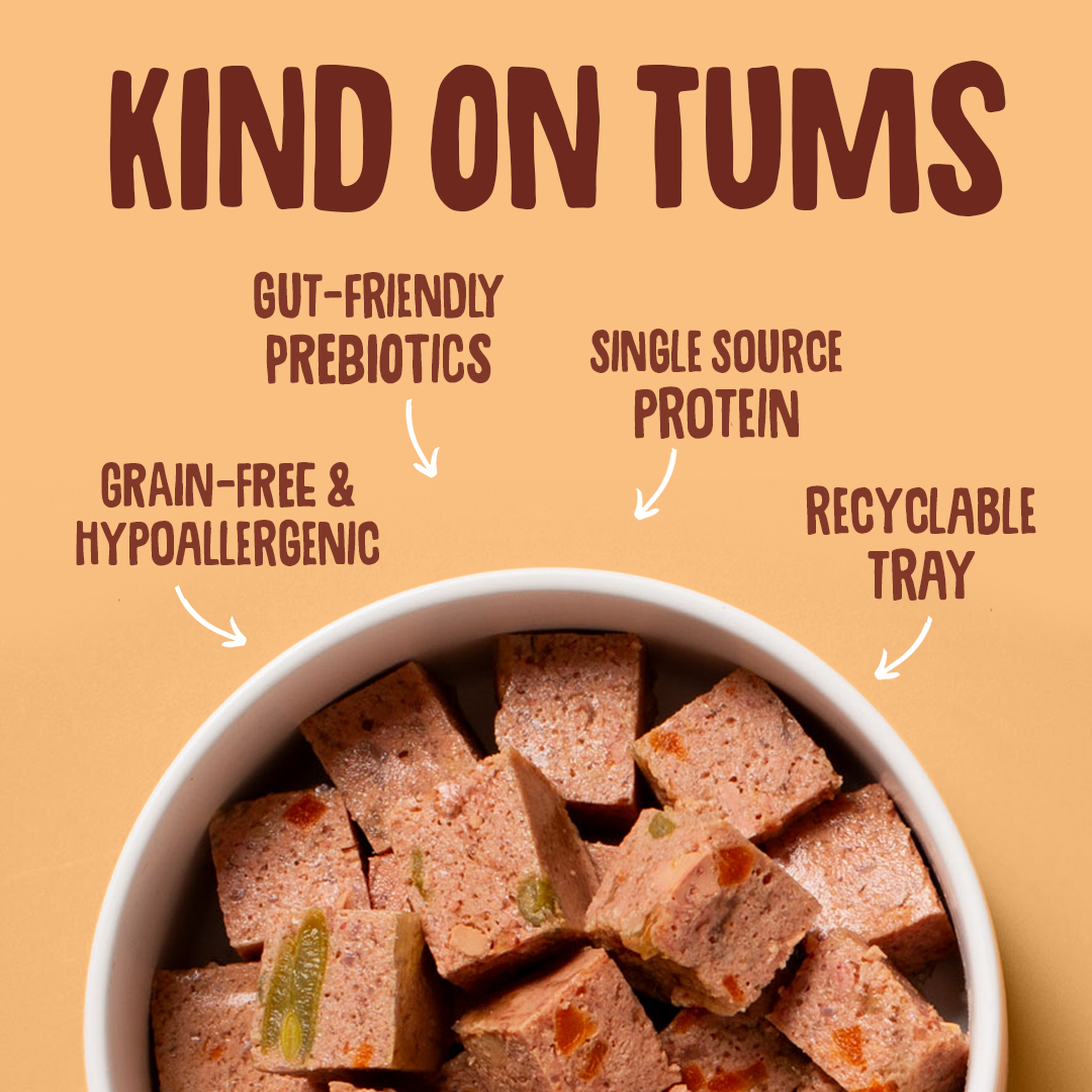 Bowl of pet food with 'Kind on Tums' text highlighting benefits on a beige background