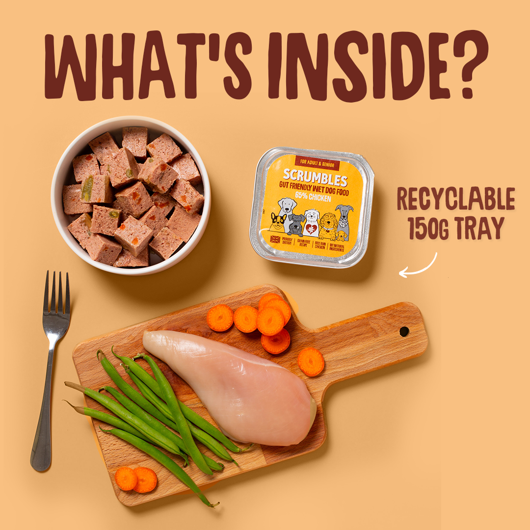 Dog food packaging with ingredients on a beige background