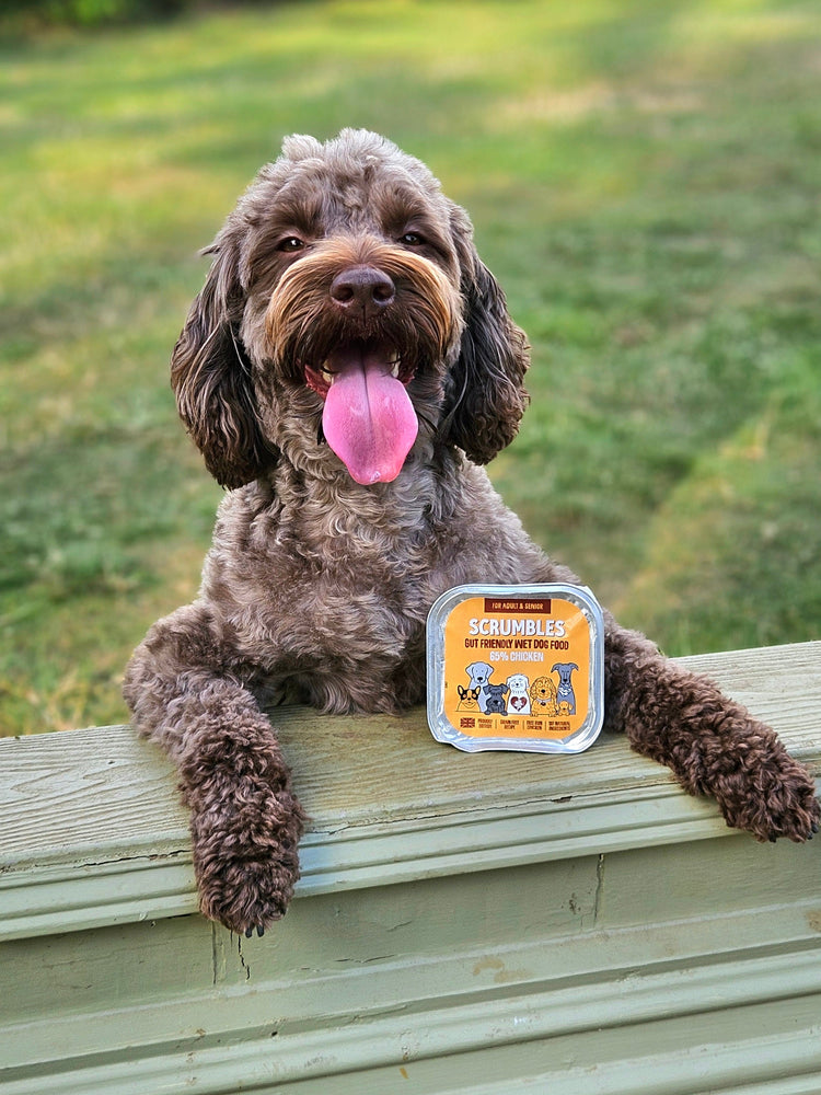 Scrumbles: Natural Pet Food