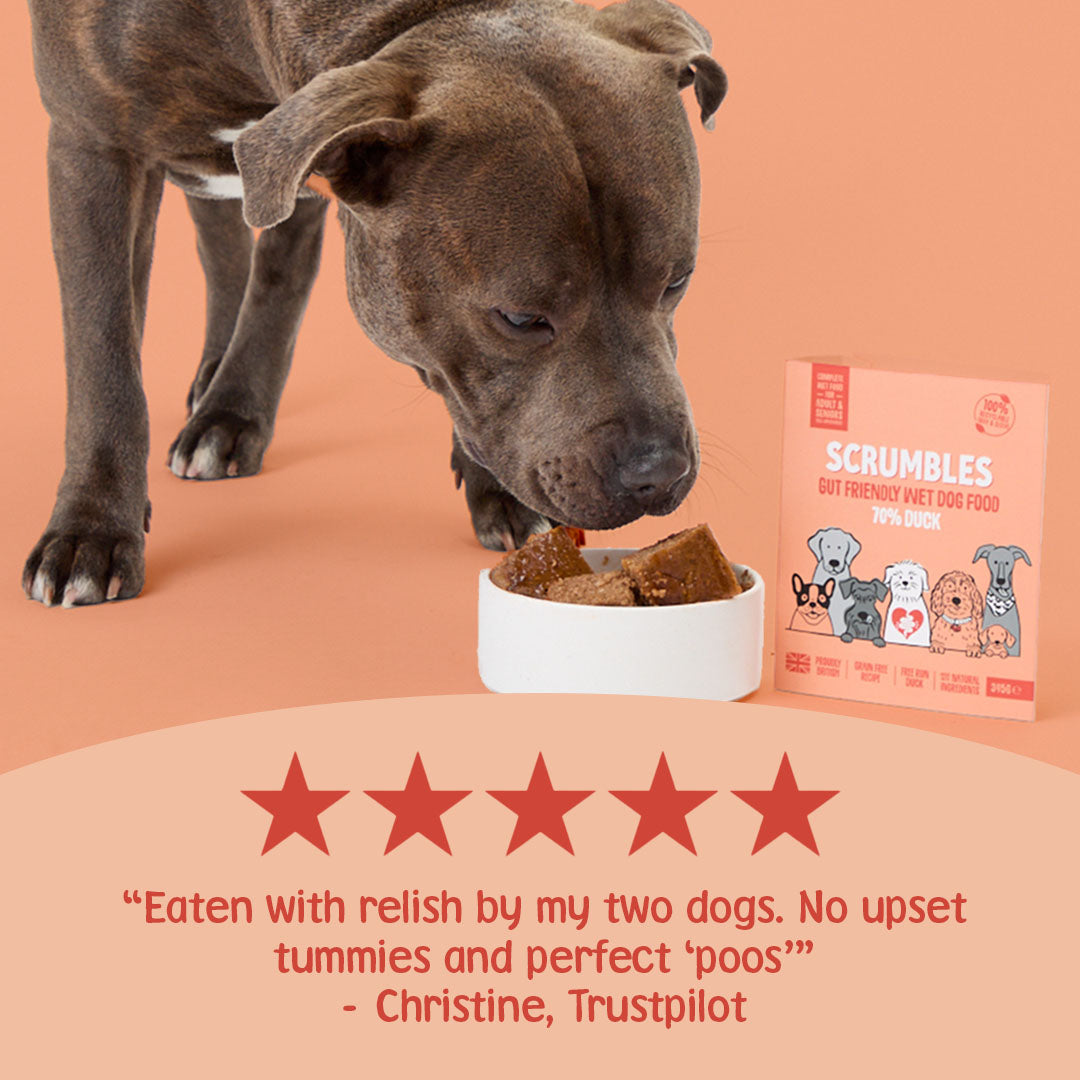 Dog eating from a bowl with Scrumble's dog food packaging and five-star rating text.