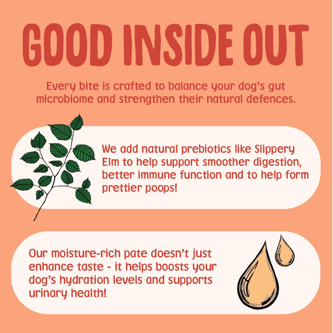 what makes scrumbles wet dog food gut-friendly