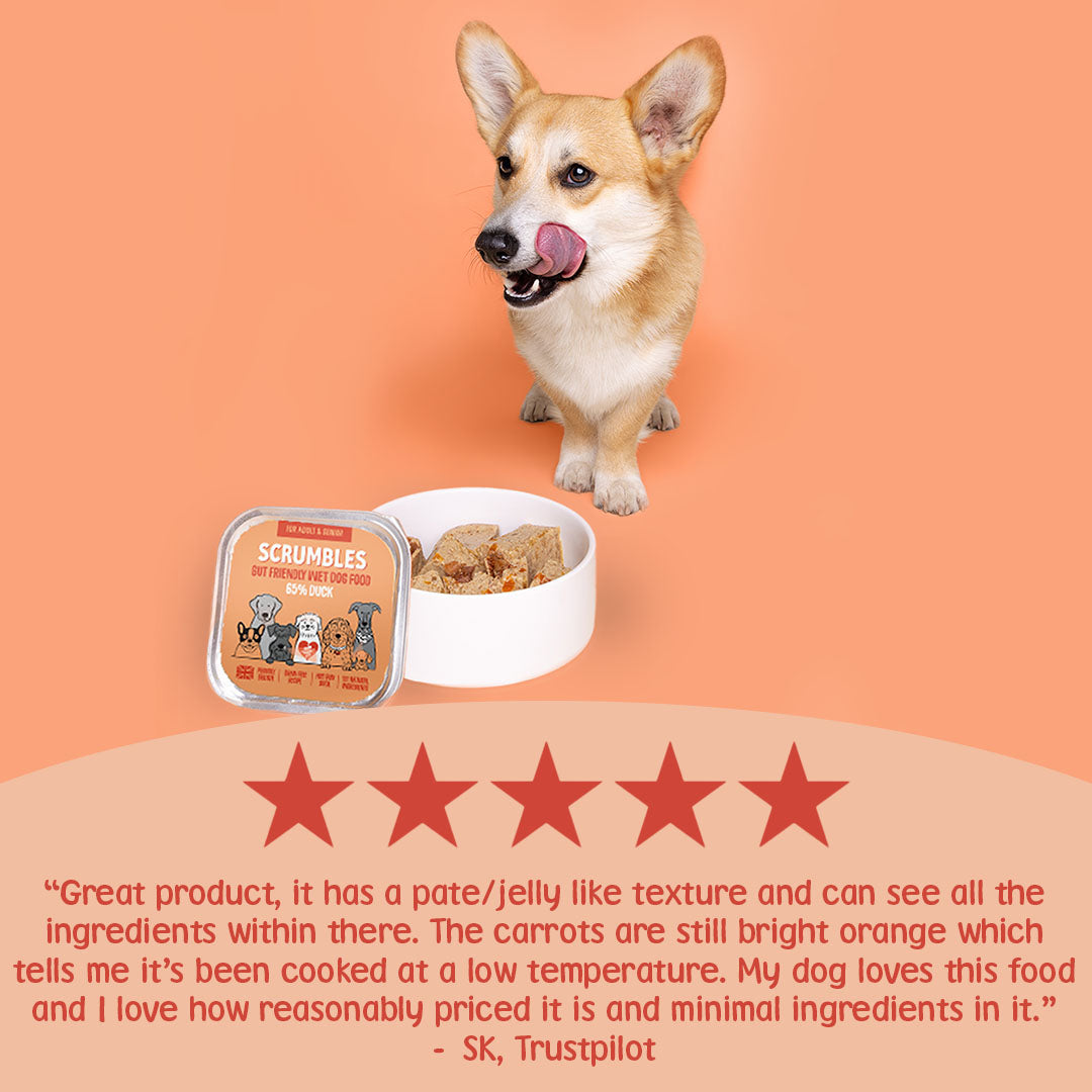 Dog with a bowl of Scrumble's pet food on an orange background