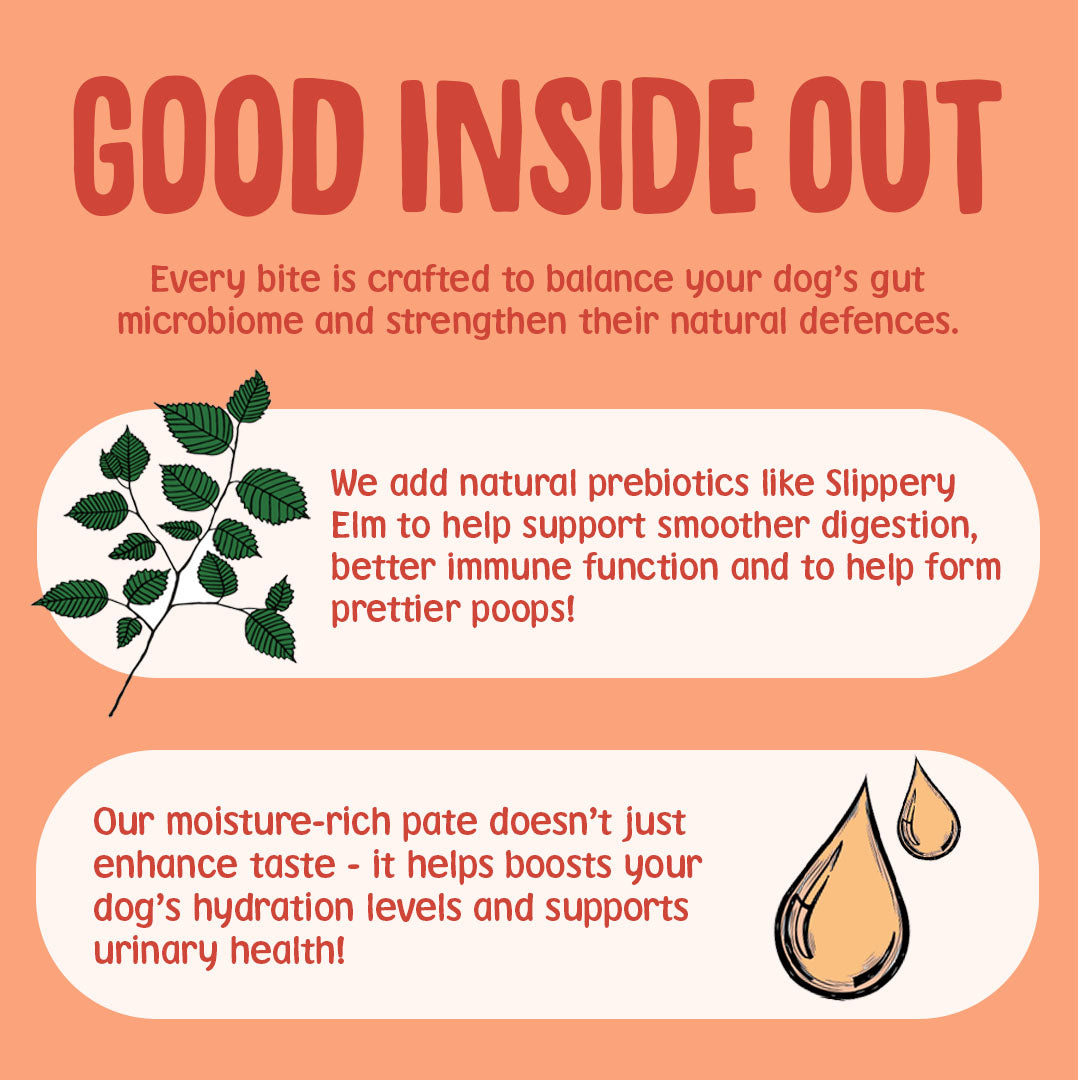 Advertisement for a dog food product with text about gut health and natural prebiotics on an orange background.