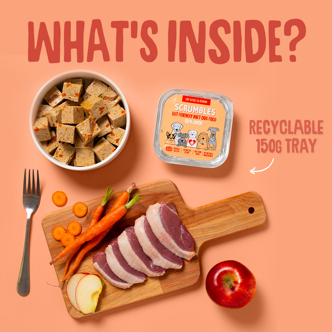 Dog food packaging with ingredients on a peach background