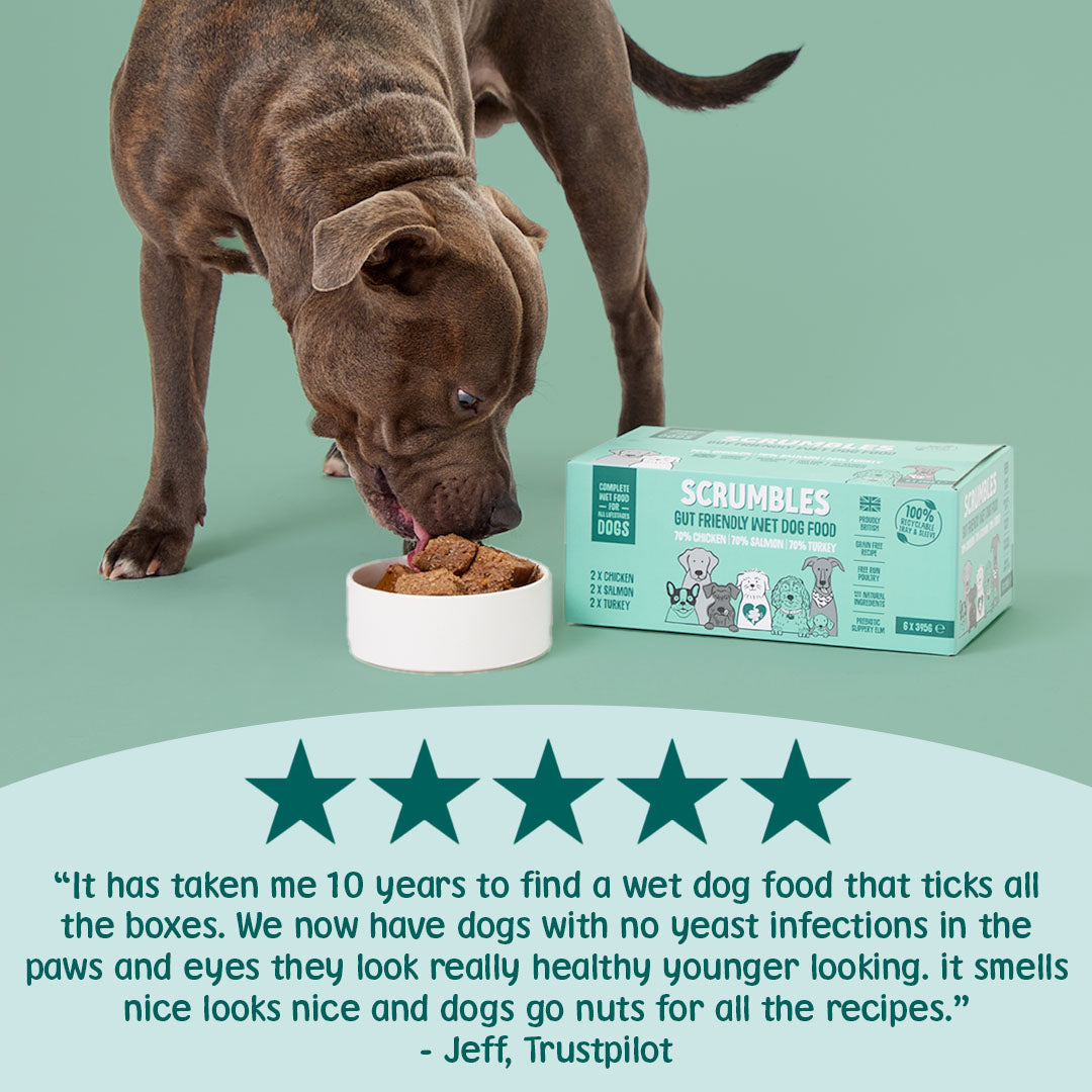 Dog eating from a bowl of Scrumbles wet dog food with a five-star rating and customer review on a green background.