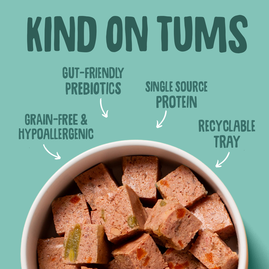 Bowl of pet food with 'Kind on Tums' text highlighting benefits on a teal background