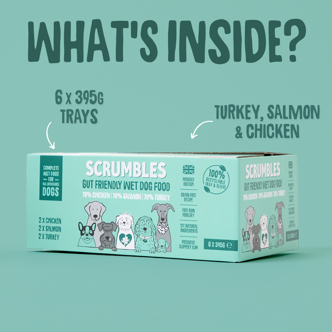 Meat and Fish Wet Dog Food Selection (395g)