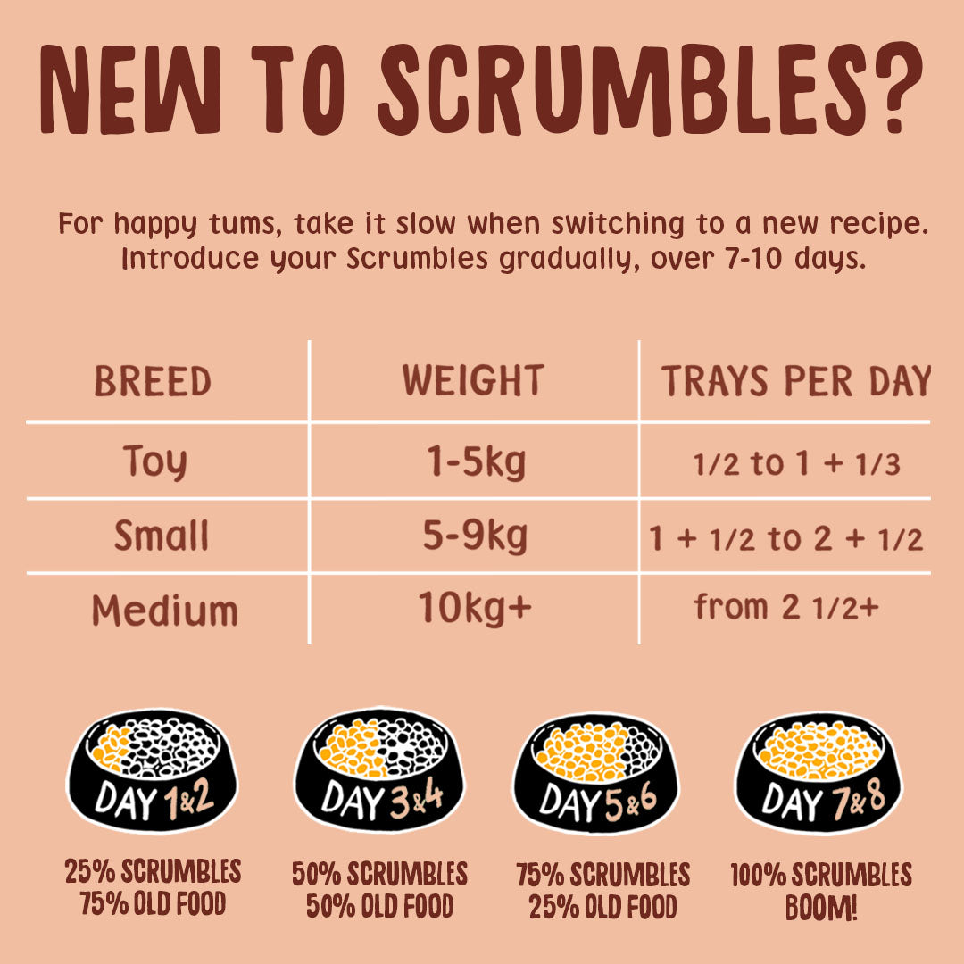 Instructional chart for introducing Scrumbles pet food gradually over 7-10 days, with breed-specific recommendations.