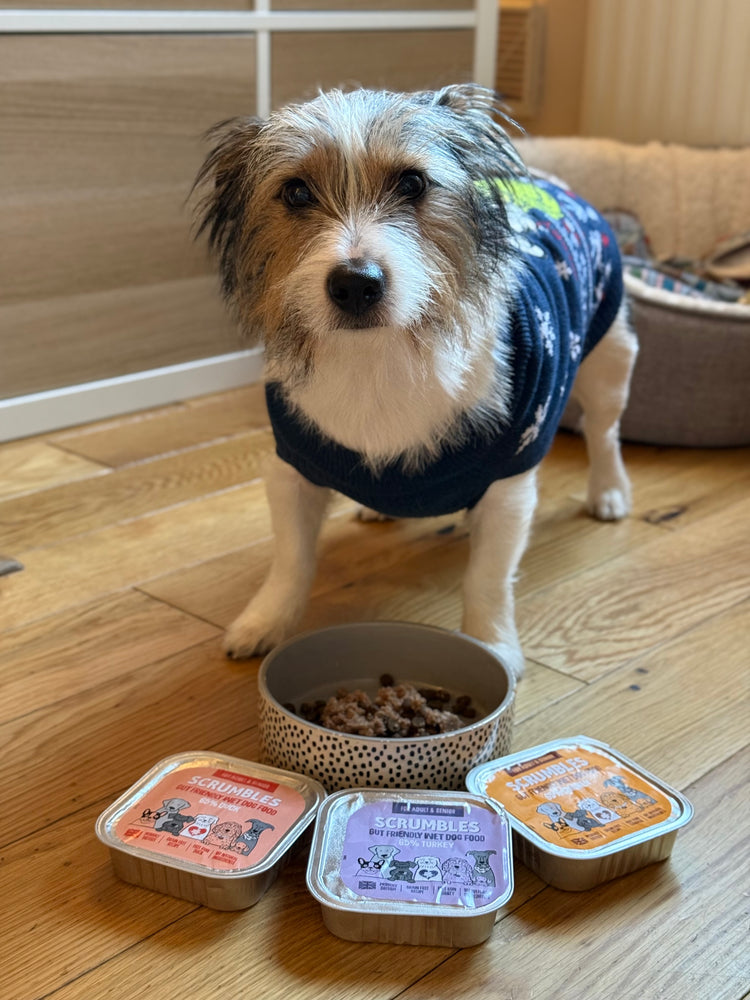 Scrumbles: Natural Pet Food