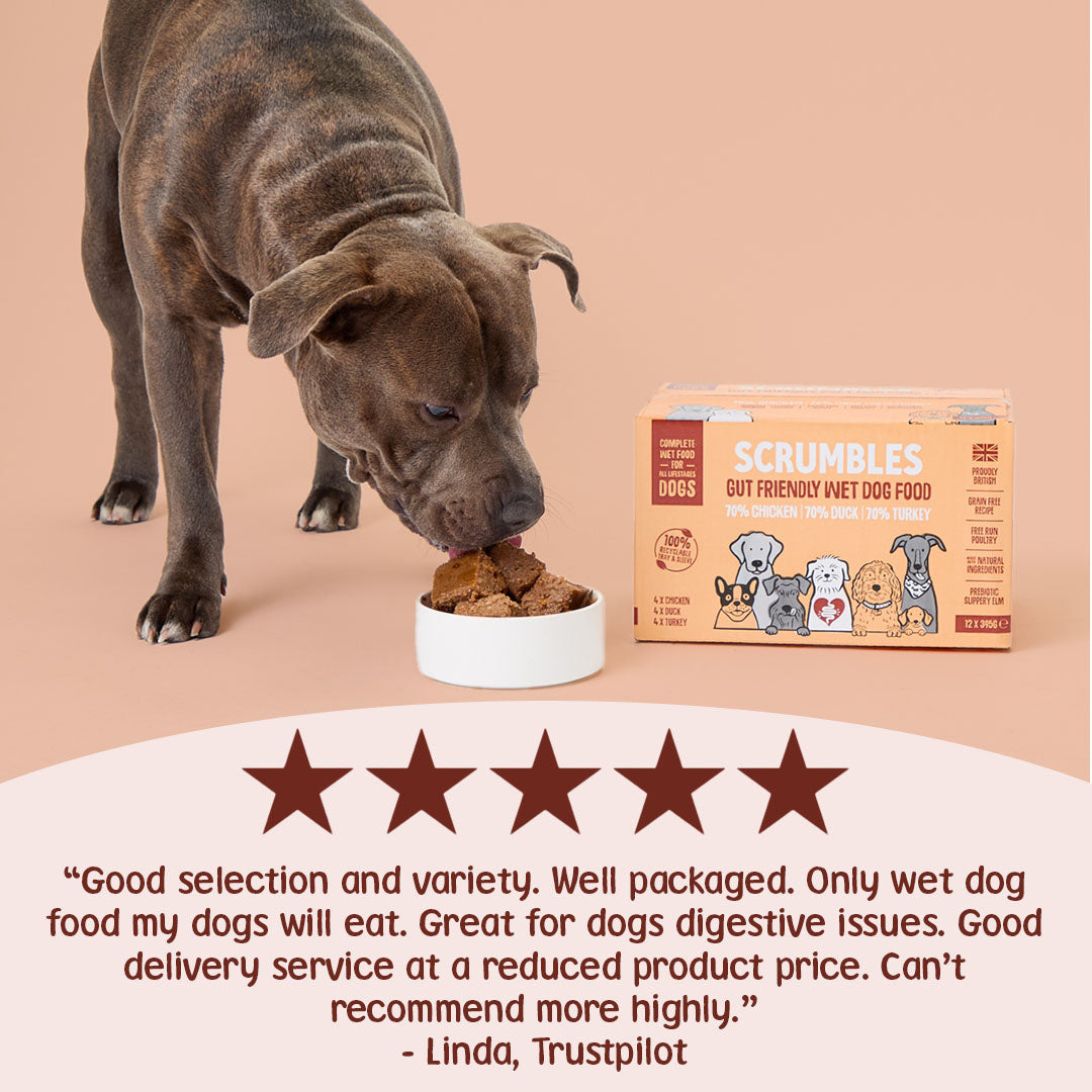 Dog eating from a bowl with Scrumbles dog food packaging and a five-star rating on a beige background