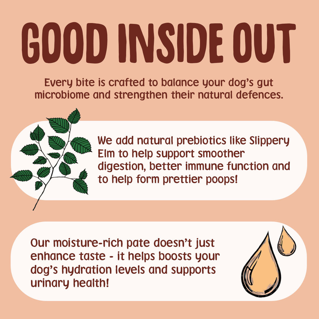 Product description for dog food with text about gut health, digestion, and hydration on a peach background.
