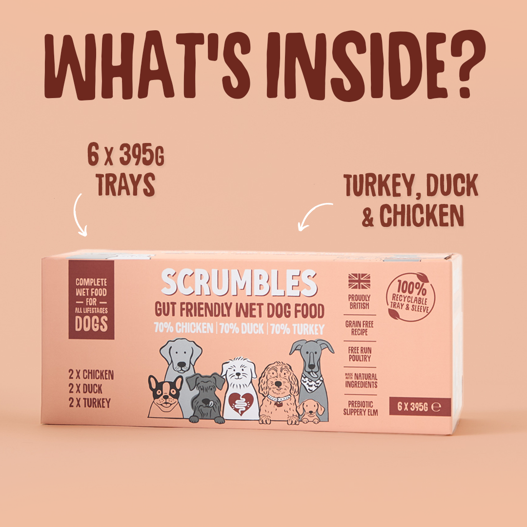 Poultry Wet Dog Food Selection (395g)
