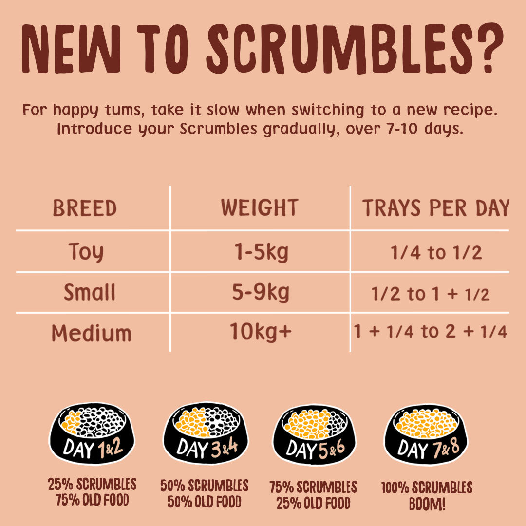 Instructional chart for introducing Scrumbles pet food gradually with breed-specific recommendations.