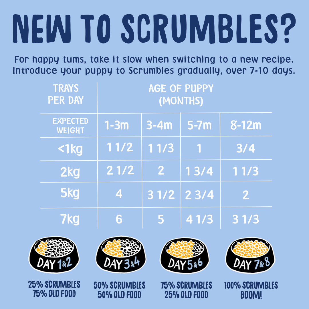 Scrumbles pet food chart for transitioning to a new recipe with weight guidelines and tray distribution.