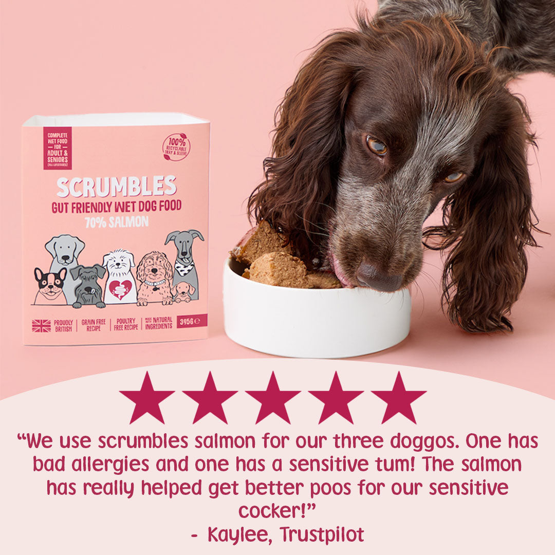 Dog eating from a bowl with Scrumbles dog food packaging and a five-star rating on a pink background.