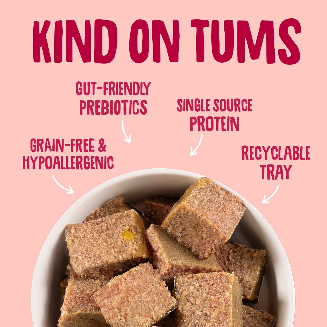 Bowl of brown dog treats with 'Kind on Tums' text and benefits listed on a pink background