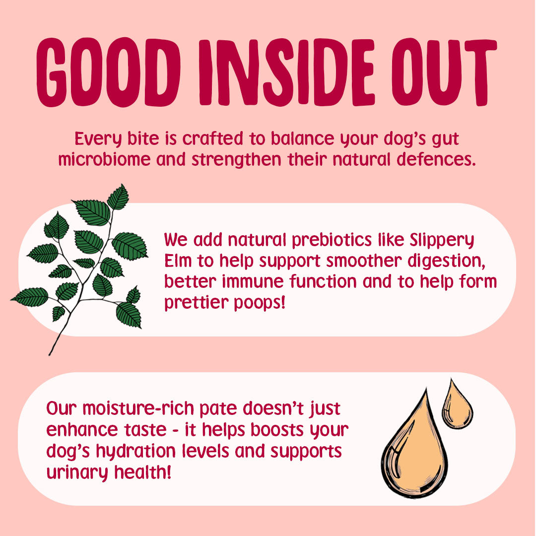 Product advertisement for a dog food product with text and illustrations on a pink background